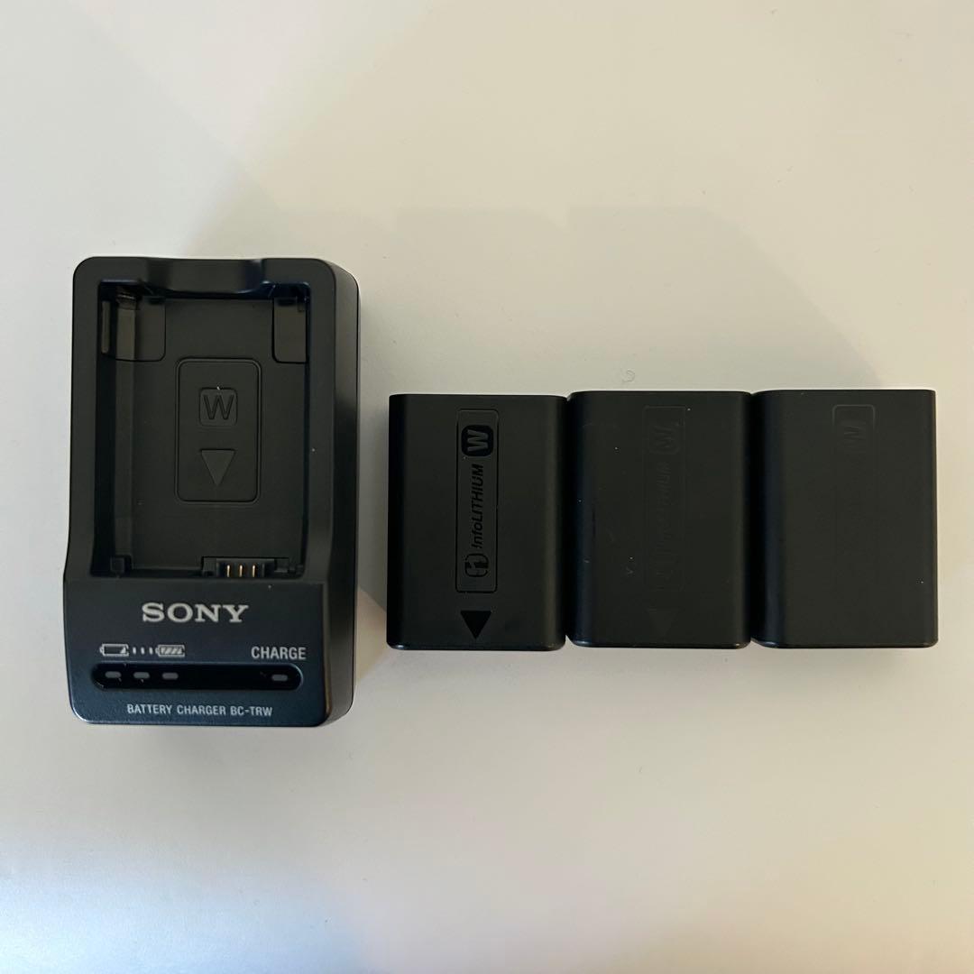 SONY(ソニー) ZV-E10L パワーズームレンズキット バッテリー3個付属