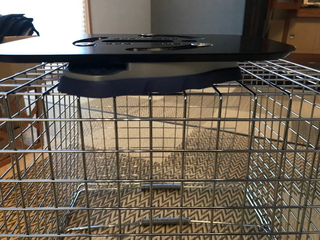 Bomber PowerPlate(パワープレート）フリースタイル用