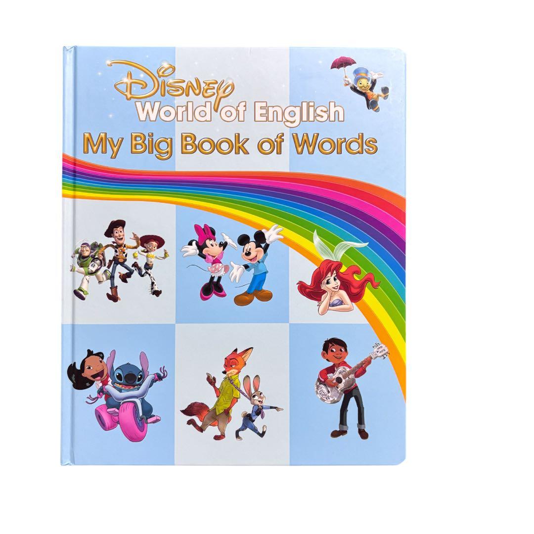 My Big Book of Words マイビックブックオブワーズ　美品DWE