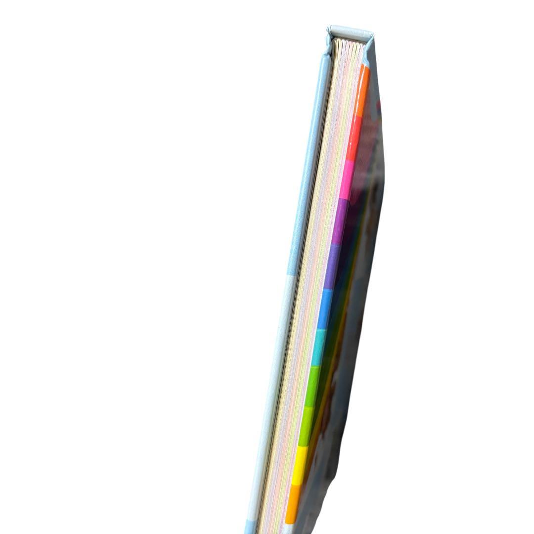 My Big Book of Words マイビックブックオブワーズ　美品DWE