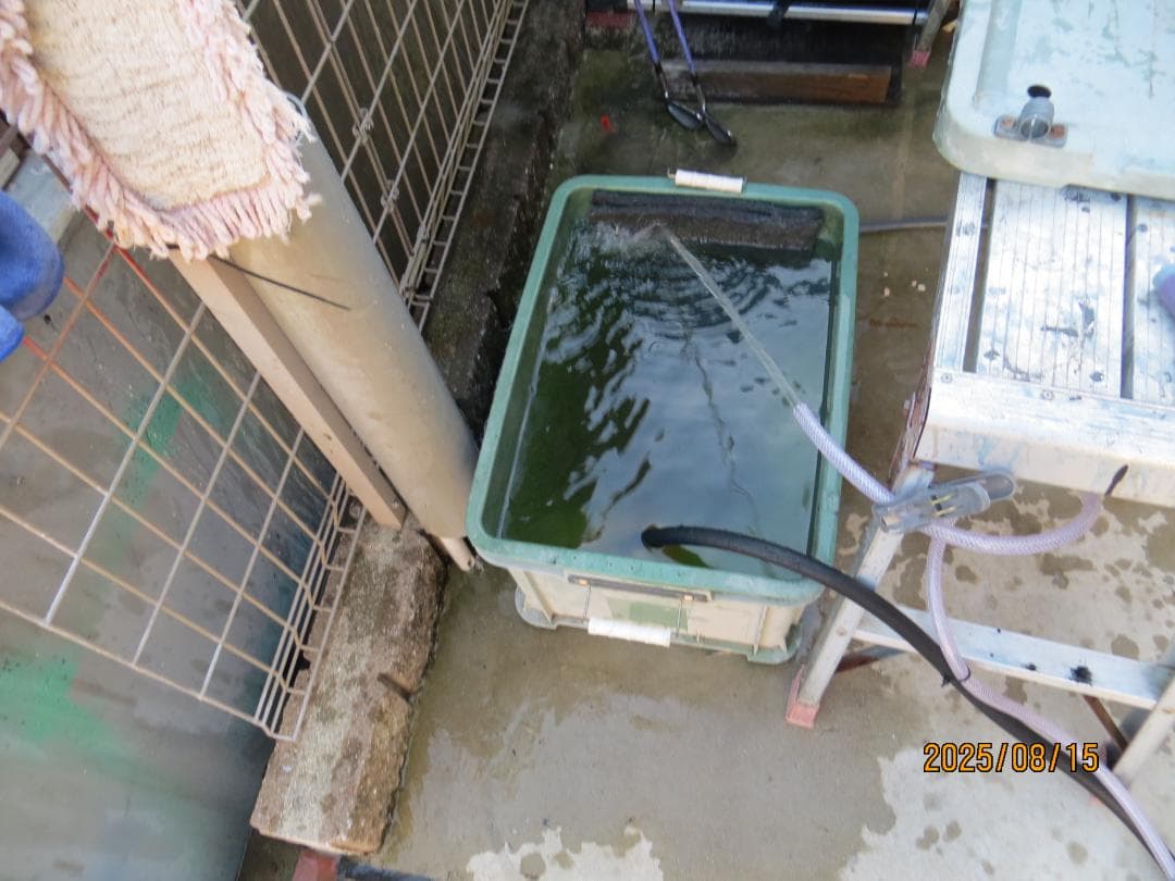 SEIWA セイワ ジェットクリーン エンジン高圧洗浄機 JC-1013GO