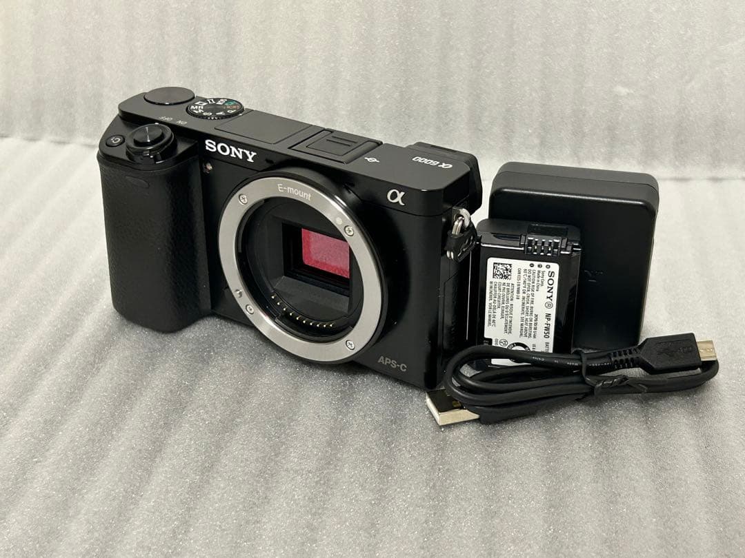 SONY α6000 ボディ 194