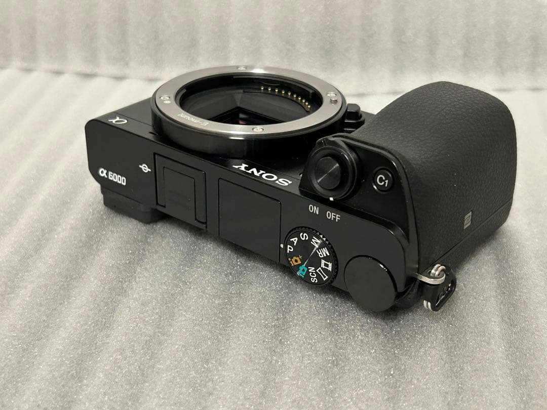 SONY α6000 ボディ 194