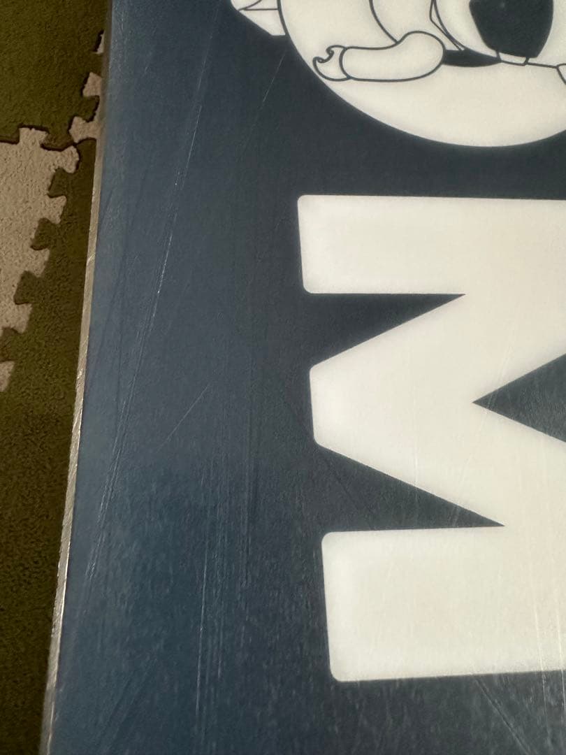 みのり。サロモン term 120 ソールカバー付き