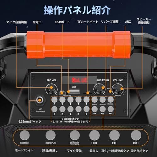 スピーカーセット JYX カラオケセット 家庭用 拡声器 ワイヤレスマイク ２p