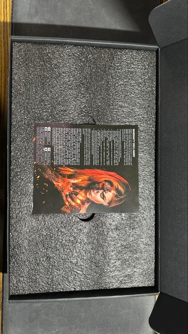 グラフィックボード・グラボ・ビデオカード INNO3D GeForce RTX 3070 iCHILL X4 8GB