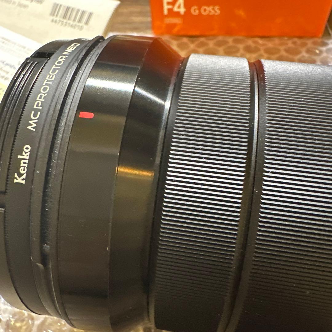 中*田様 SELP18105G + フィルター付き