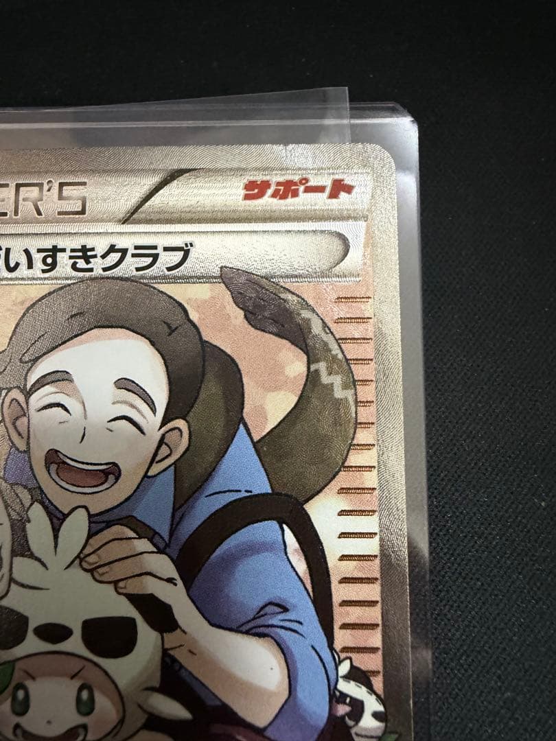 ポケモンだいすきクラブ SR XY2 ワイルドブレイズ 087/080