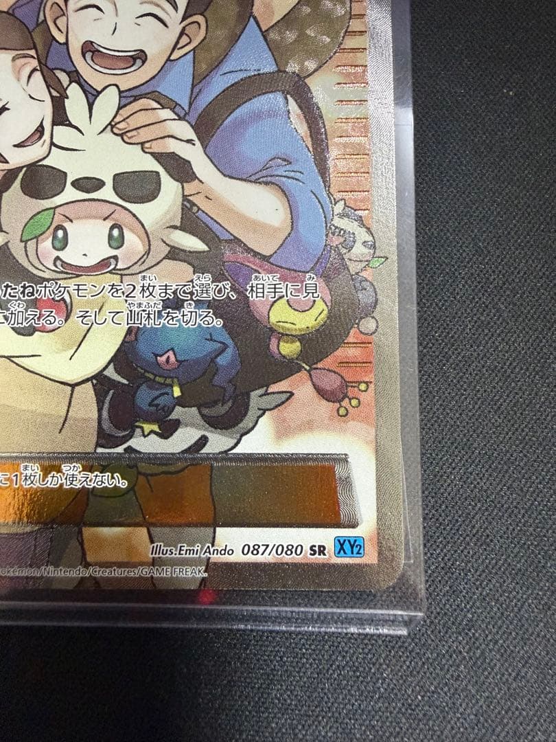 ポケモンだいすきクラブ SR XY2 ワイルドブレイズ 087/080