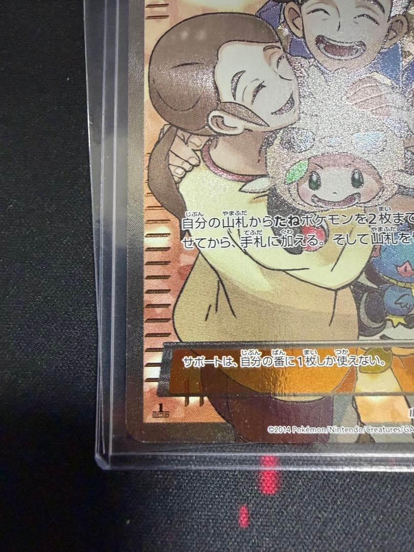 ポケモンだいすきクラブ SR XY2 ワイルドブレイズ 087/080