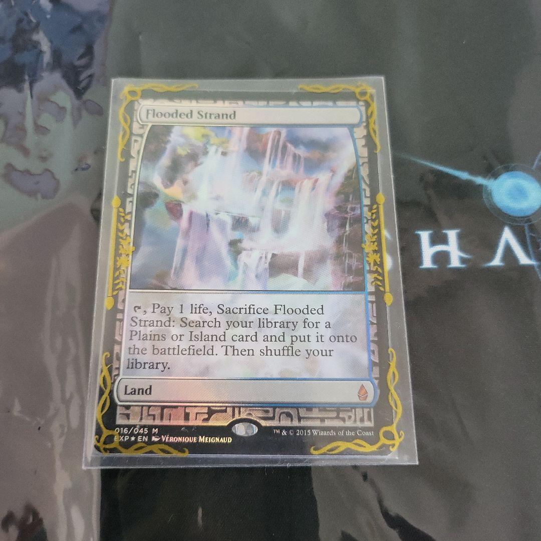 【Foil】《溢れかえる岸辺/Flooded Strand》[EXP] 土地R