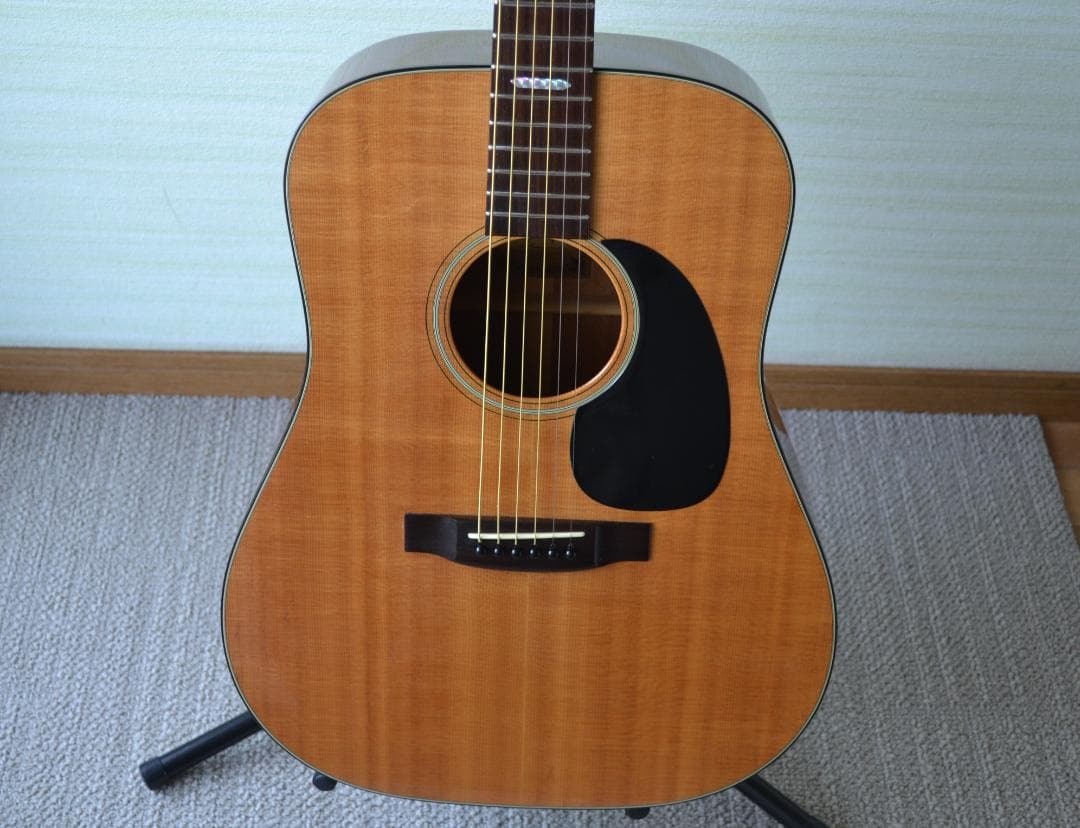 ヘッドウェイ HD-305 TOP単板 アコースティックギター ケース付