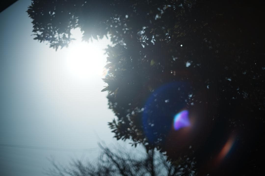 【整備＆テスト】オリンパス G.Zuiko auto 50mm F1.4 246