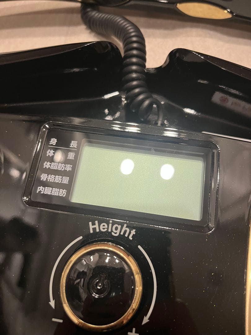 InBody インボディ プレミアム体組成計 H20N スマホ連動