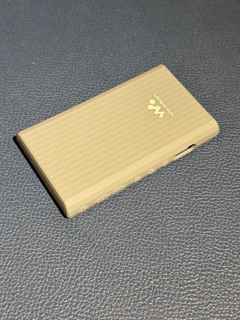 SONY ウォークマン NW-A306￼ 128GB SDカード、ケース付き！
