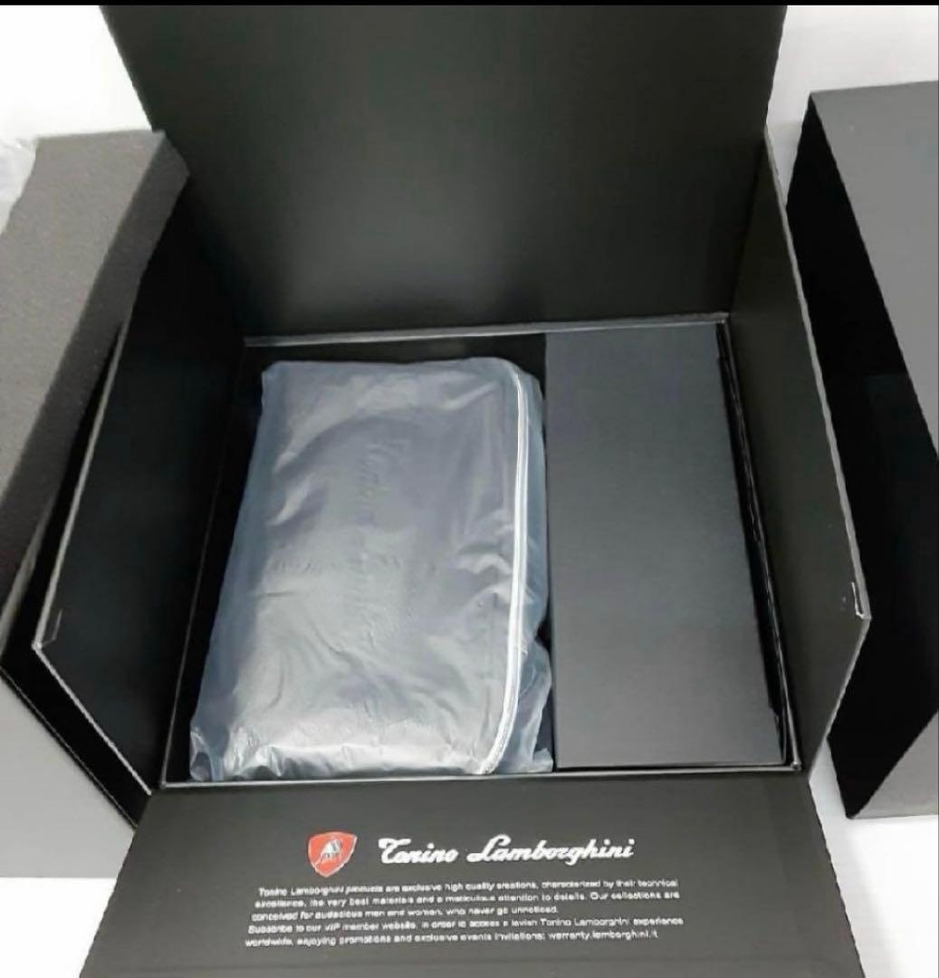 特別価額 ランボルギーニ美顔器　ALPHA・ONE(アルファワン)