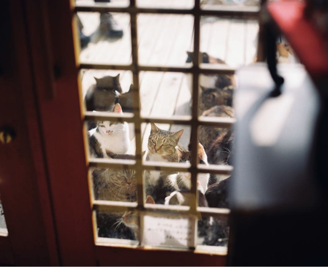 PENTAX 67 TTL(グリップ有) &SMC 6x7 105mm F2.4