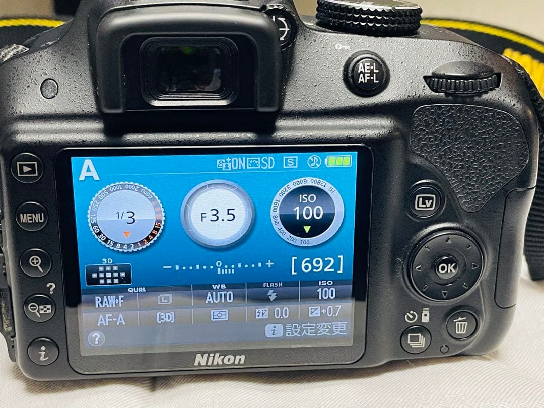 Nikon D3300 18-55 VRⅡ Kit レンズ保護フィルター付き