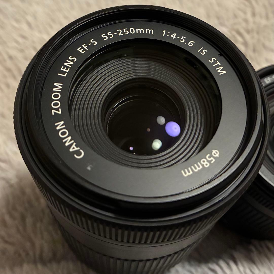 Canon EF-S 55-250mm ズームレンズ
