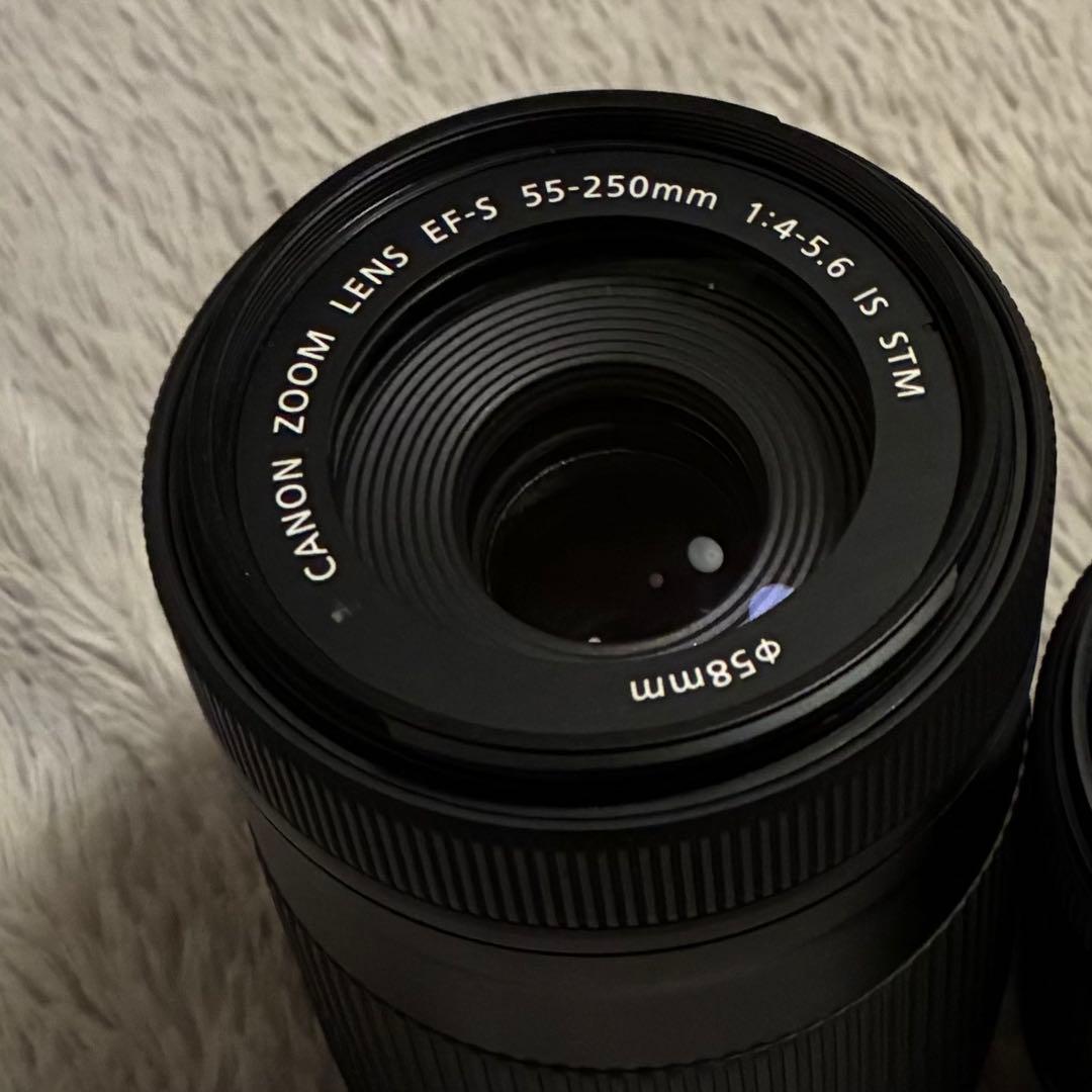 Canon EF-S 55-250mm ズームレンズ