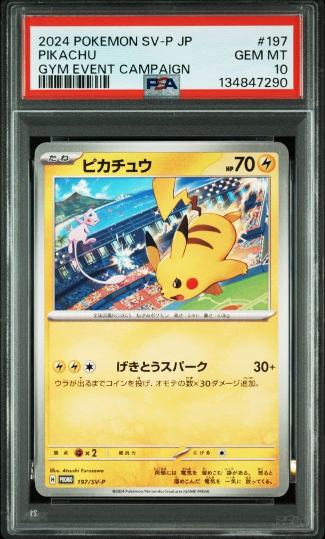 ※【PSA10連番】 ピカチュウ げきとうスパーク　　ジムプロモ