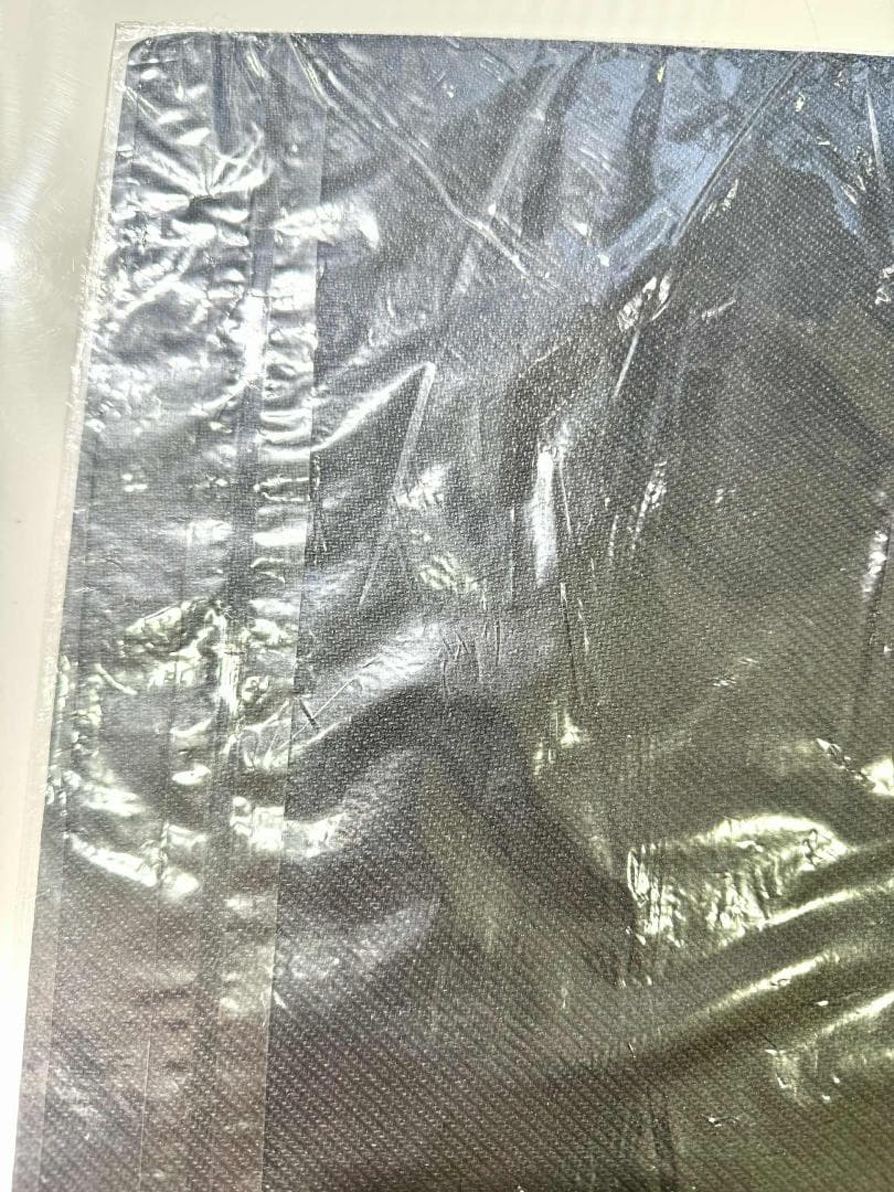 遊戯王 未開封 ハーピィ・コンダクター 韓国 プレイマット 2019