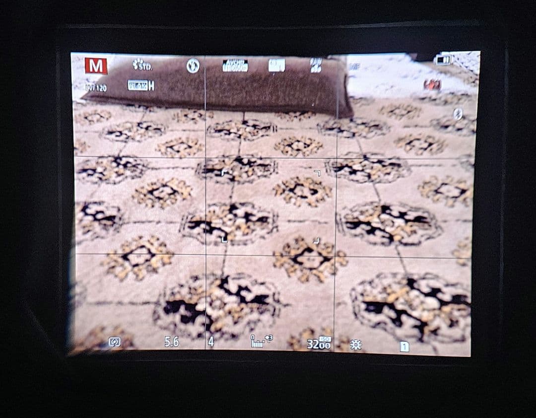 【最終値下げ】Panasonic LUMIX DC-G9L PRO おまけ付き