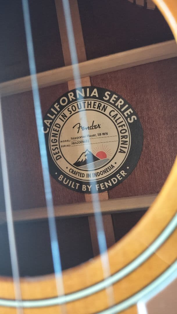 ギター Fender Newporter Player SB WN