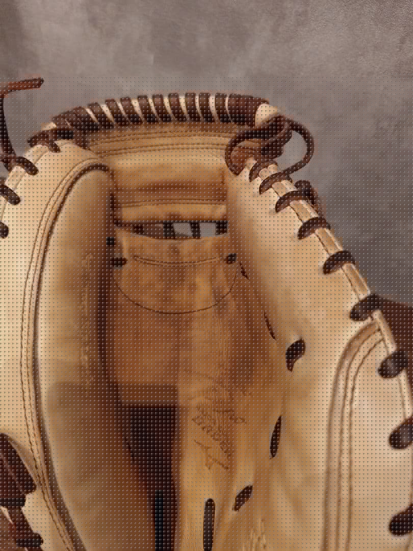 Mizuno Proオーダー　 硬式キャッチャーミット