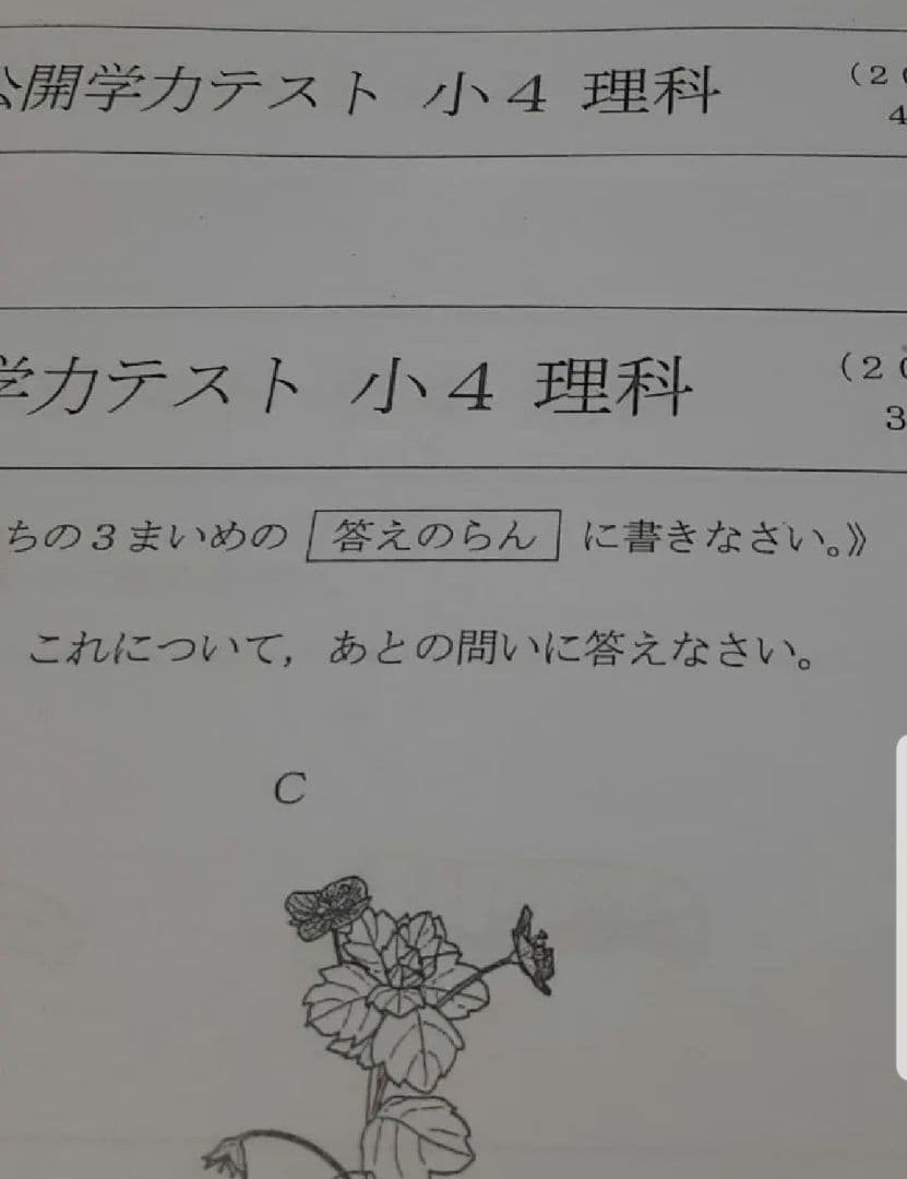 浜学園 公開学力テスト 小4 2022年 〜 2024年 4科目 3年分