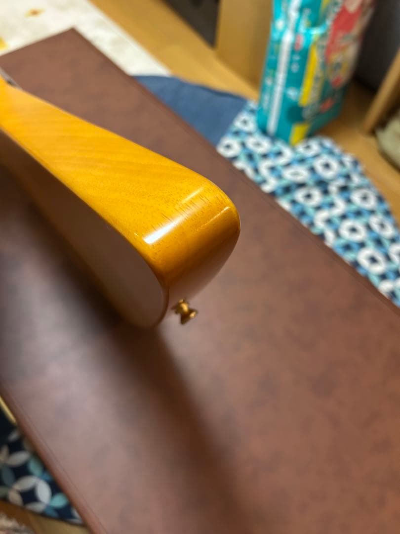 Epiphone by Gibson Korina Explorer ケース付き