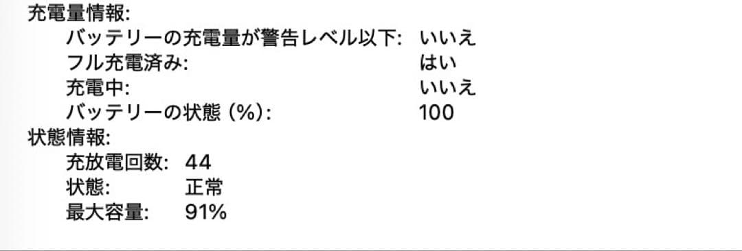 バッテリー91%　MacBook Pro 13インチ M1 16GB 1TB