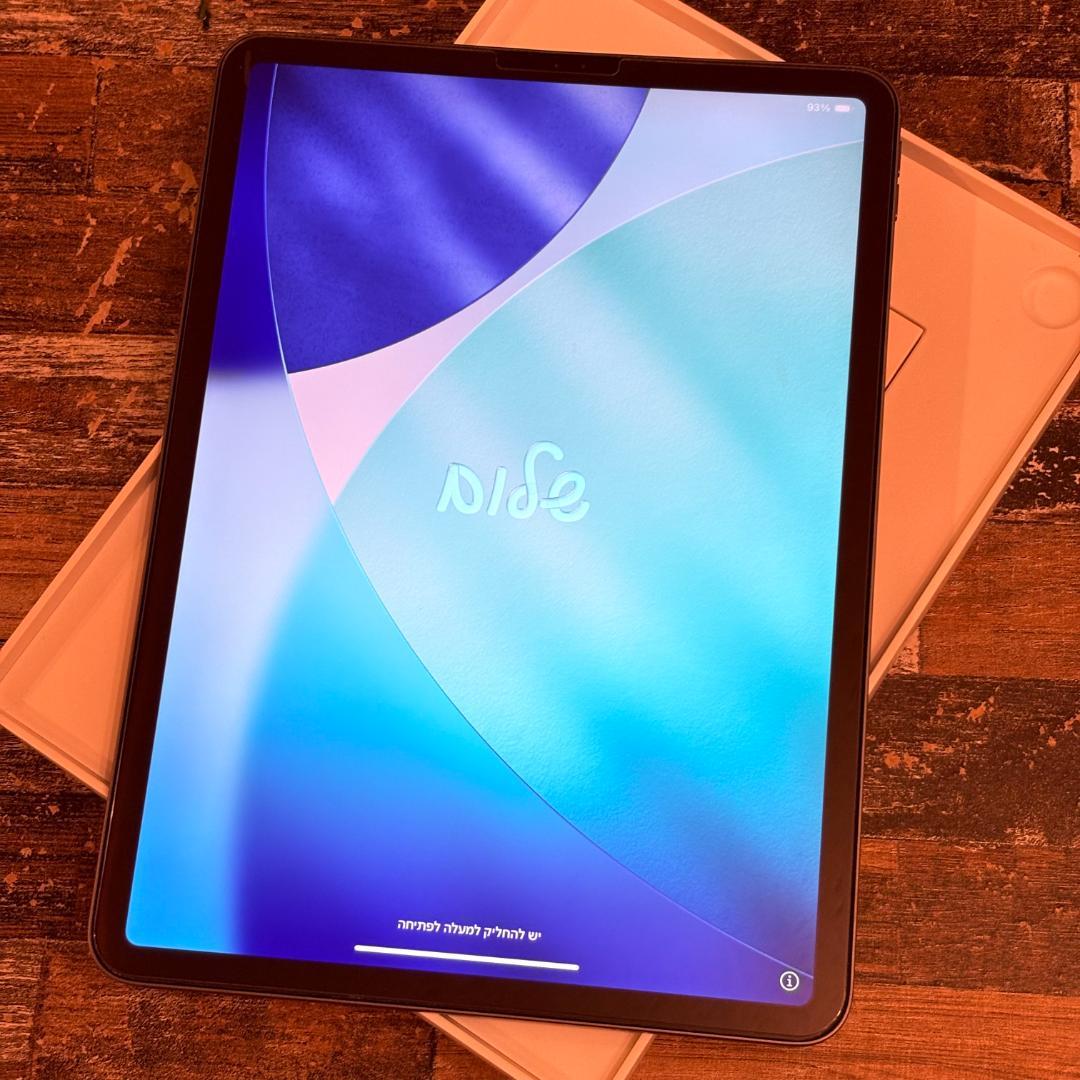 iPad Pro 11 第1世代 64GB A1980