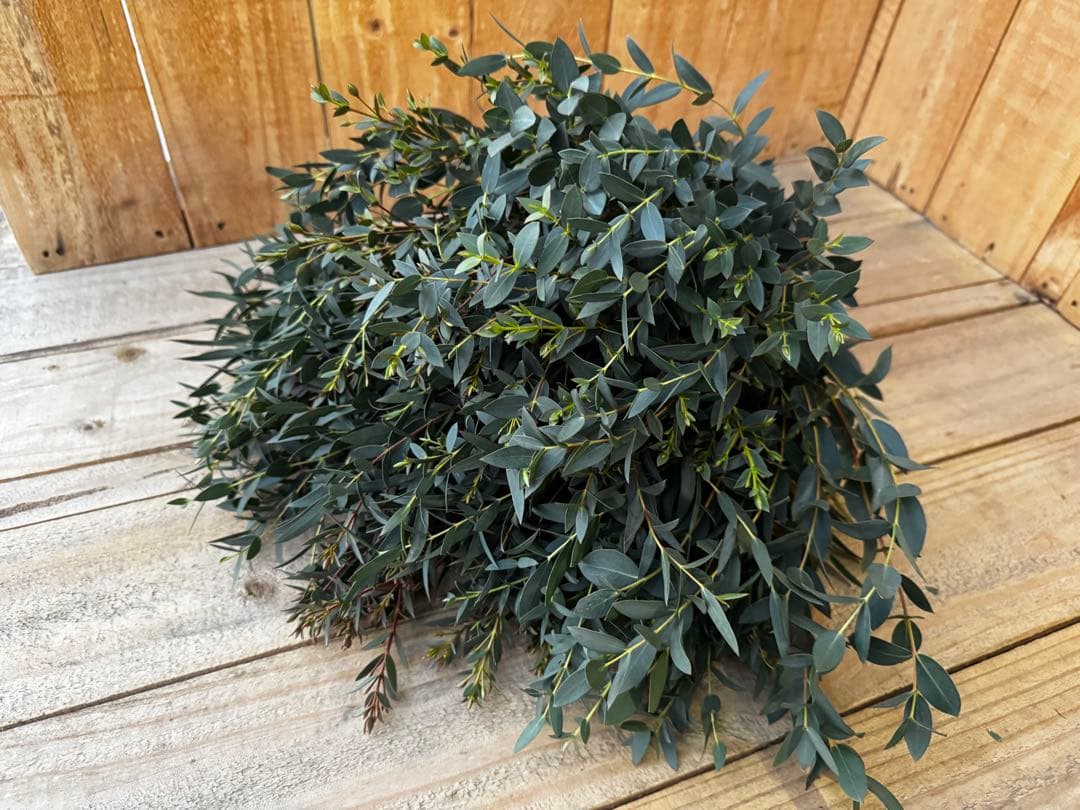 aya様 リクエスト 4点 まとめ商品