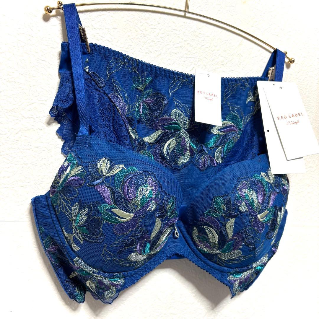 ✨様ご予約済 D70Lトリンプ プレミアム 寄せアゲハ 花と油絵 ブラ＆ショーツ