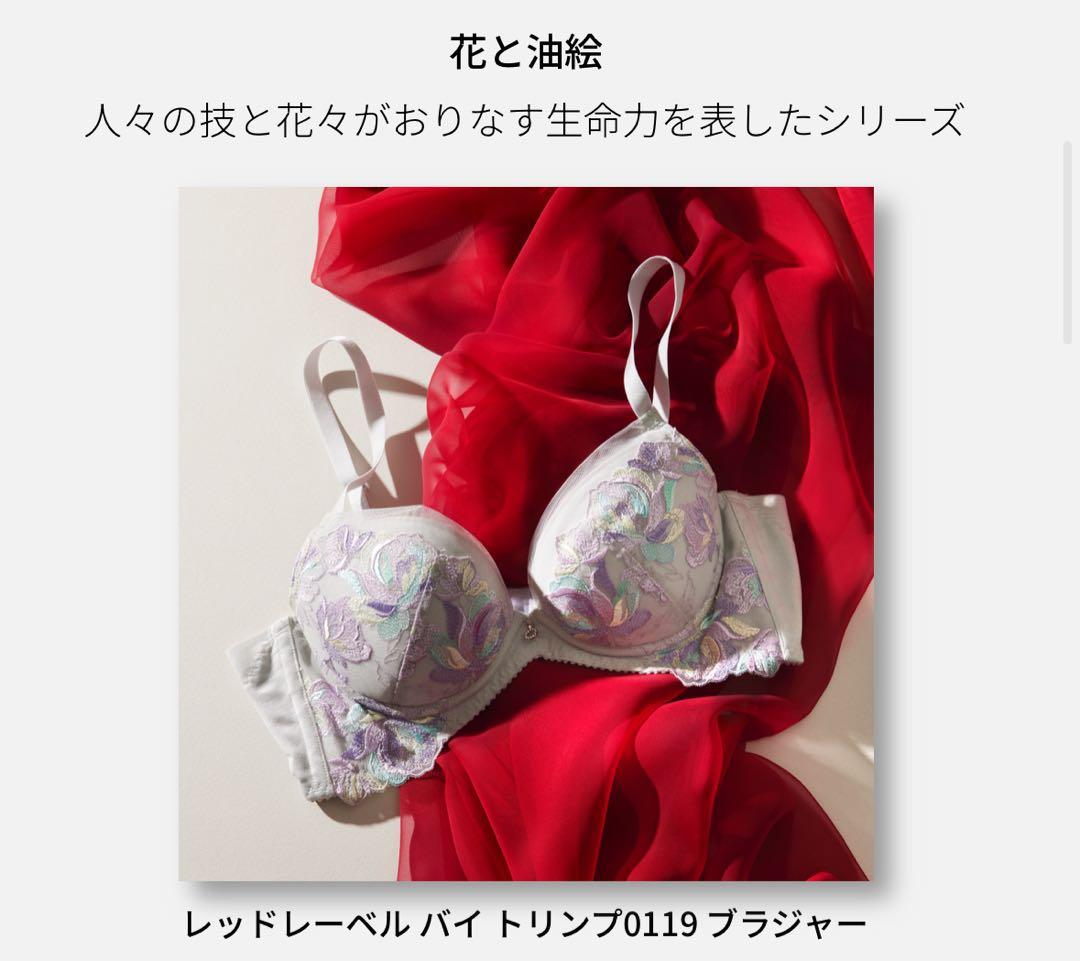 ✨様ご予約済 D70Lトリンプ プレミアム 寄せアゲハ 花と油絵 ブラ＆ショーツ