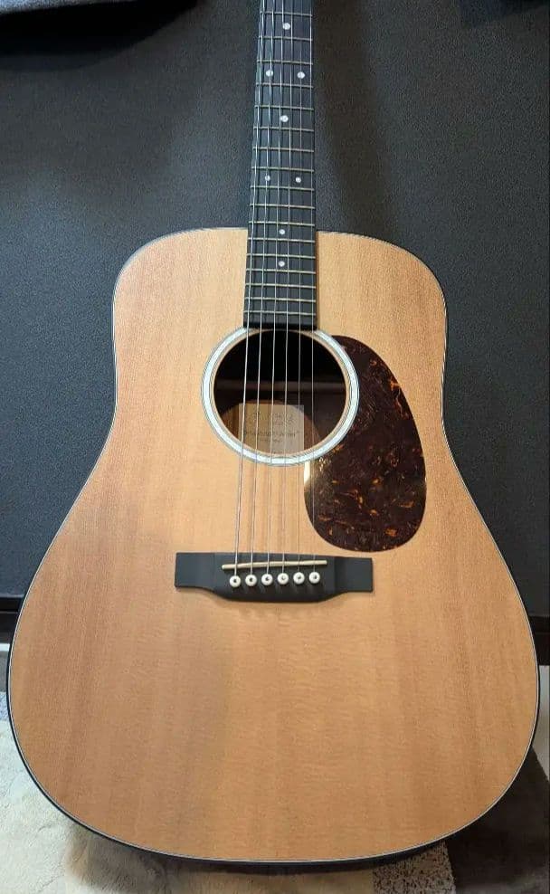 Martin & Co. アコースティックギター