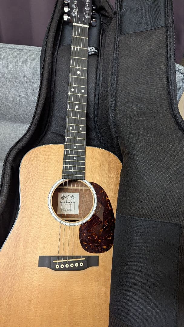 Martin & Co. アコースティックギター