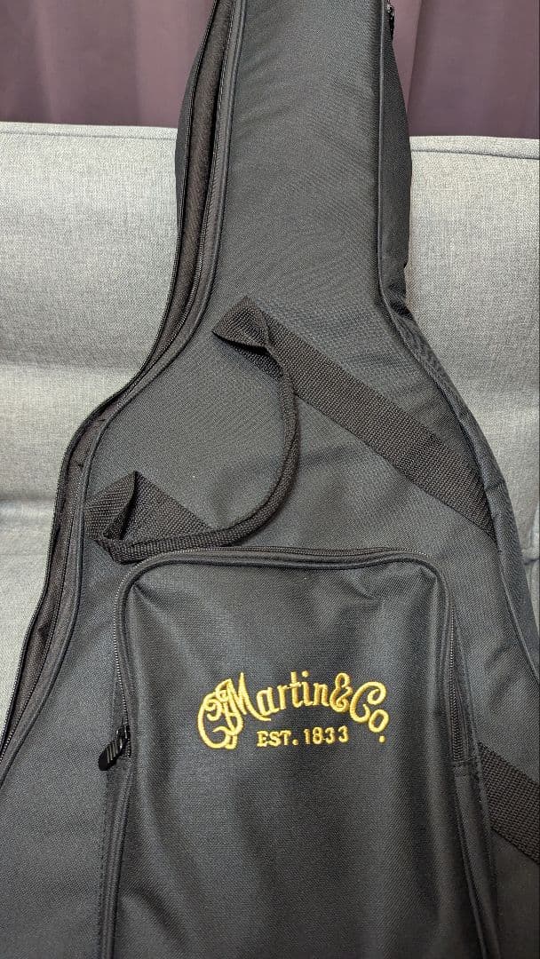 Martin & Co. アコースティックギター