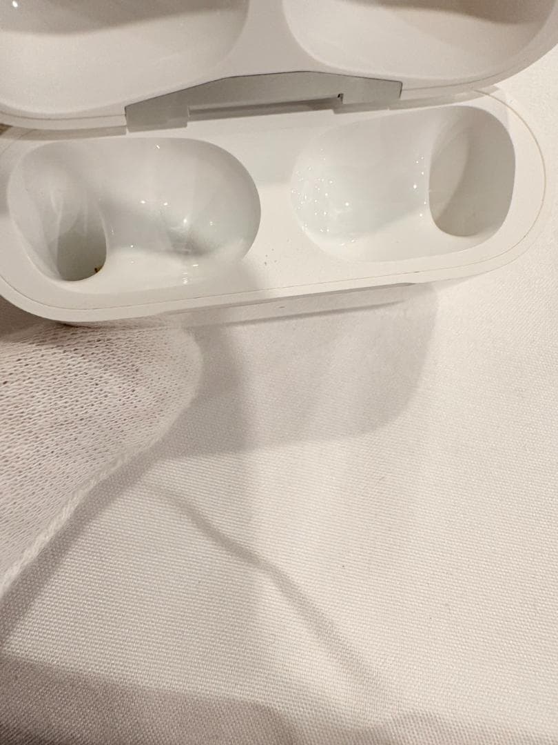 AirPods Pro 第1世代 本体 充電ケース付き 動作確認済み