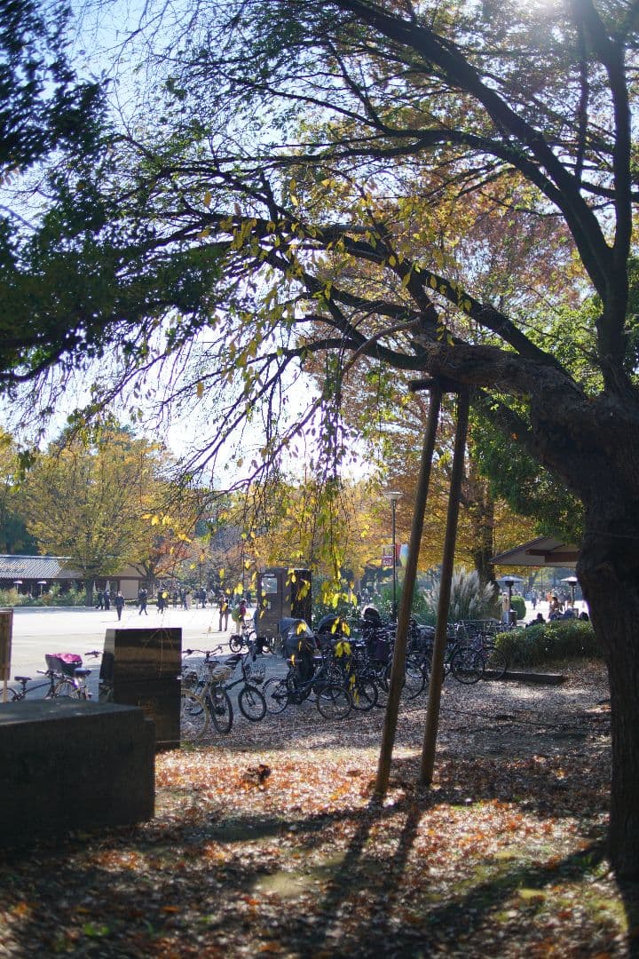 レンズ(単焦点) Nikon ai af nikkor 35mm f2D