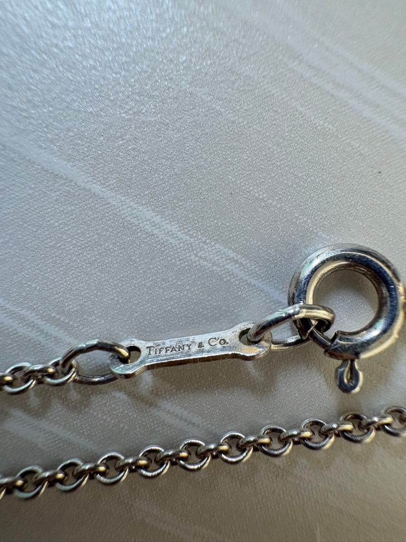 Tiffany & Co. シルバー ロングチェーンネックレス sv925