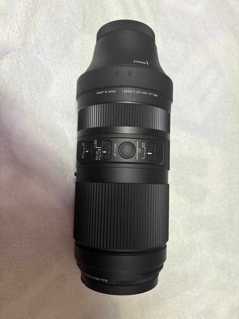 シグマ 100-400mm F5-6.3 DG DN OS フジフイルムX