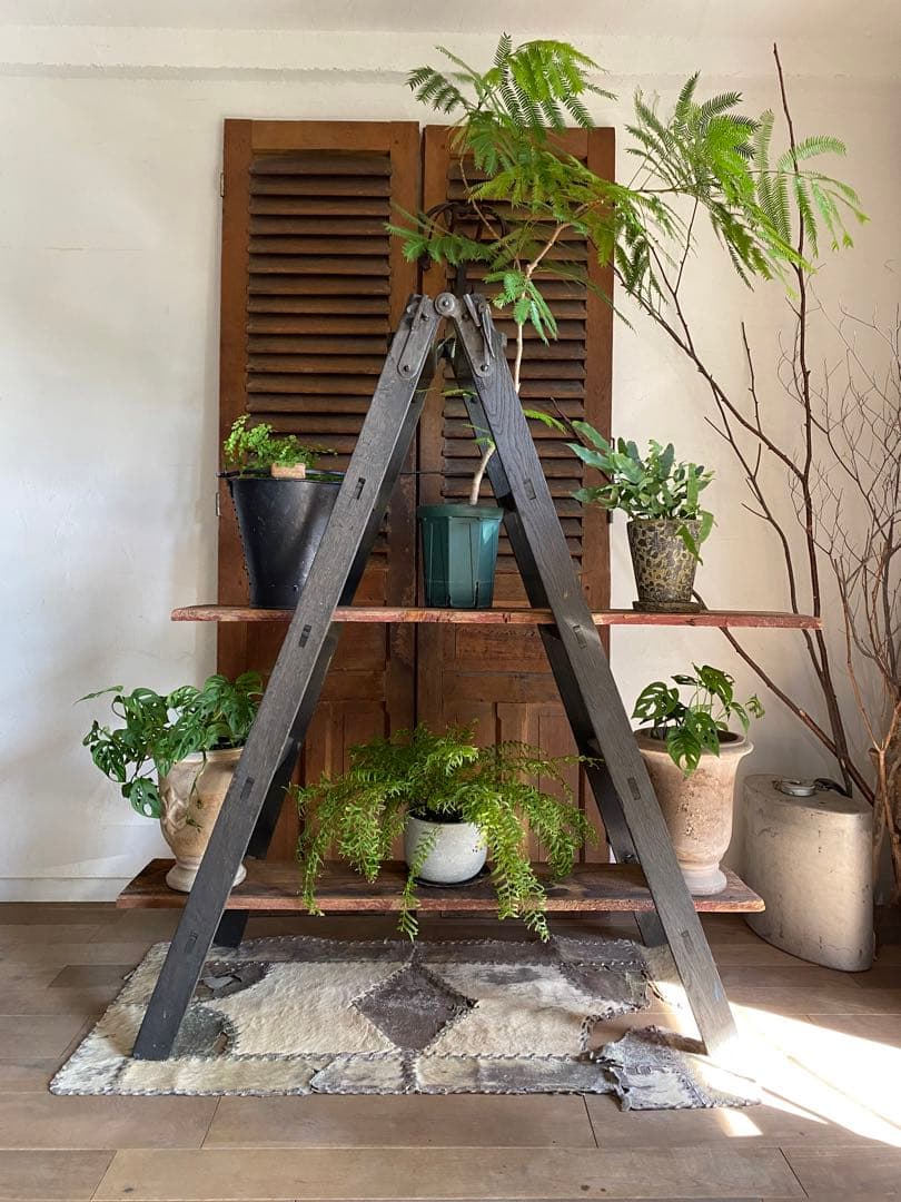 アンティーク脚立＋板2枚　GALLUP 古材　個性的な棚