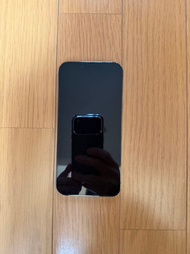 iPhone 13 Pro 256GB アルパイングリーン