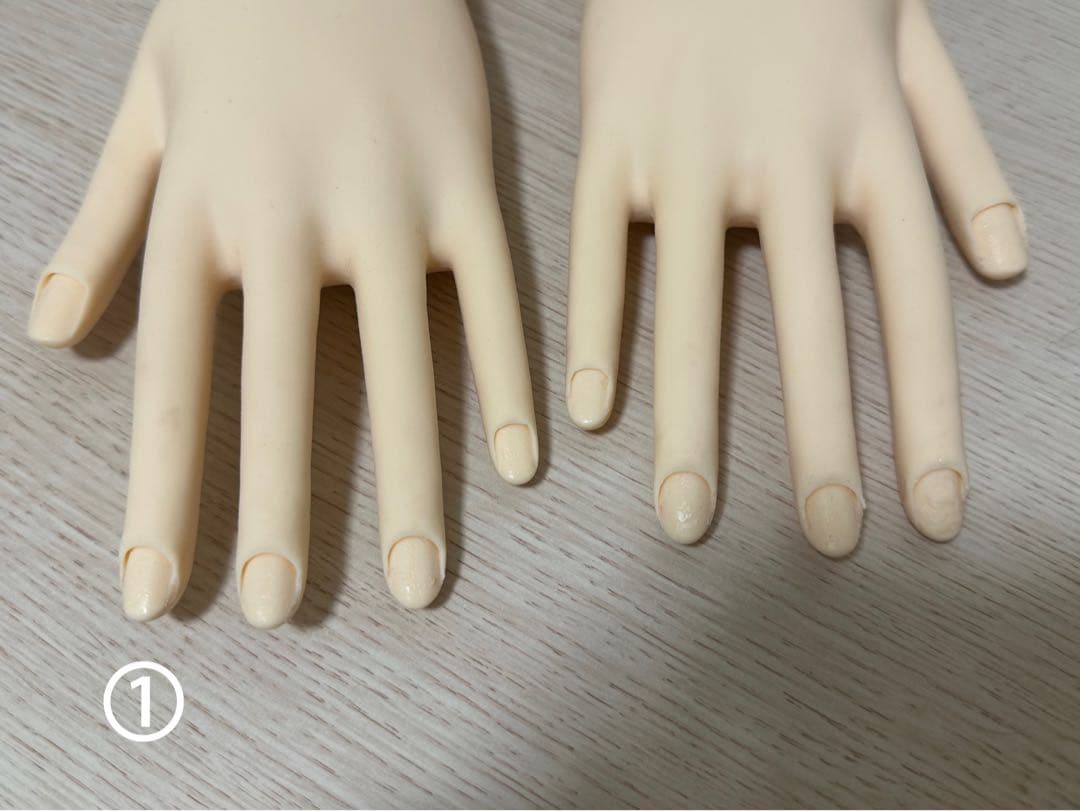 認定モデルハンド STモデルハンド ネイルチップ