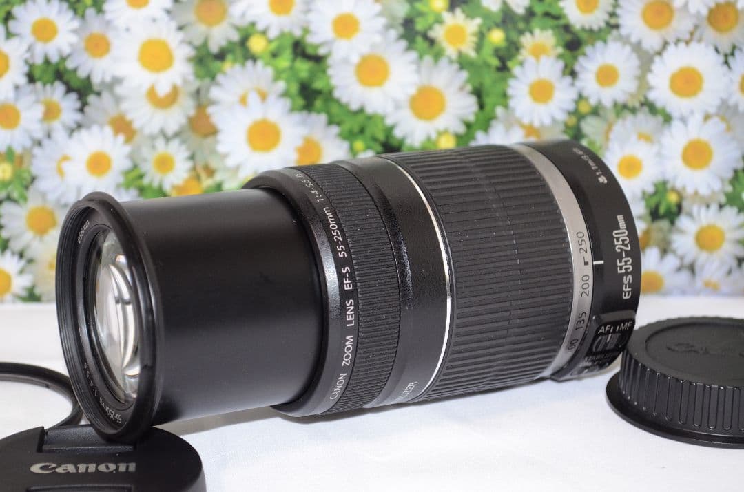 ❤❤Canon EF-S 55-250mm F4-5.6 IS❤手振れ補正❤望遠