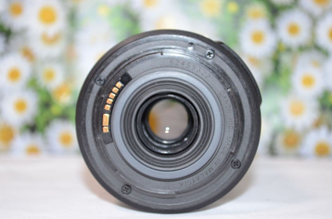 ❤❤Canon EF-S 55-250mm F4-5.6 IS❤手振れ補正❤望遠