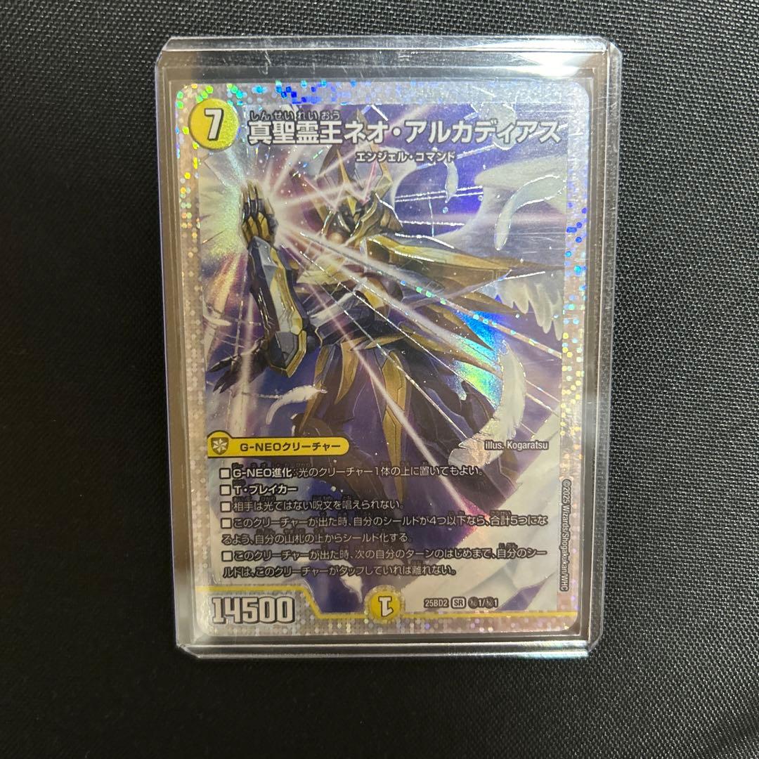 ネオアルカディアス シークレット