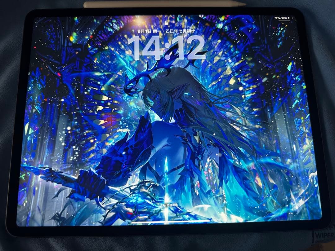 【ami 】iPad Pro 12.9インチ 第４世代